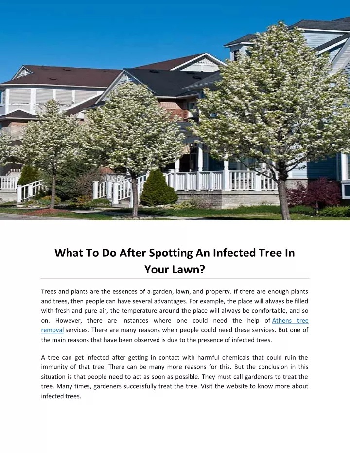 what to do after spotting an infected tree
