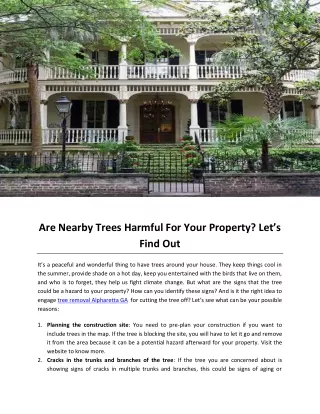 Are Nearby Trees Harmful For Your Property Let’s Find Out