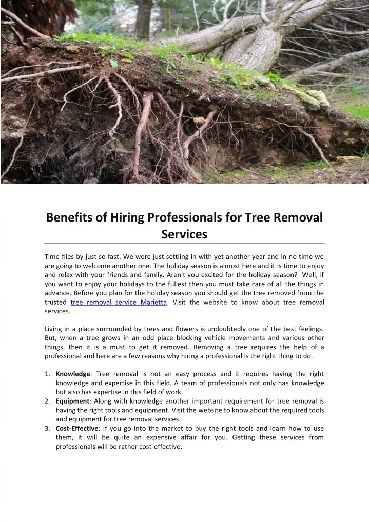 benefits of hiring professionals for tree removal