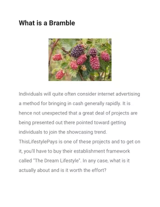 What is a Bramble