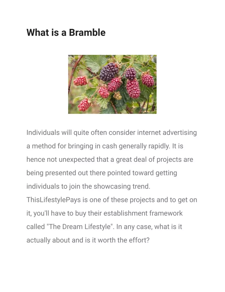 what is a bramble