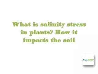 What is salinity stress in plants How it impacts the soil