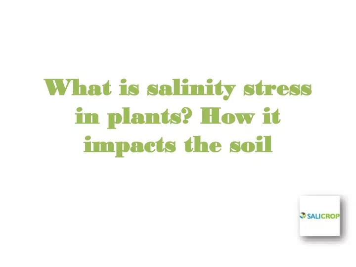 what is salinity stress in plants how it impacts the soil