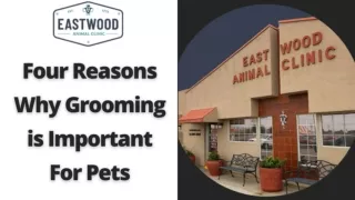 Four Reasons Why Grooming is Important For Pets