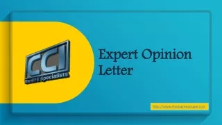 Expert Opinion Letterr