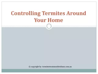controlling termites around your home