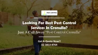 looking for best pest control services