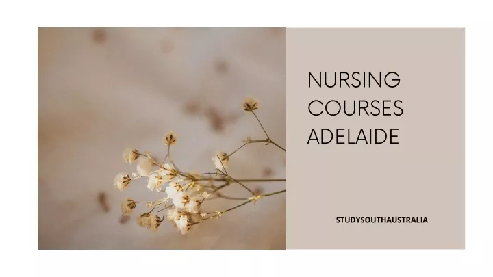 nursing courses adelaide