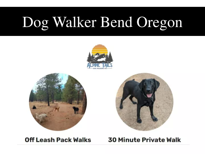 dog walker bend oregon