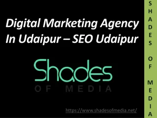 digital marketing agency in udaipur seo udaipur