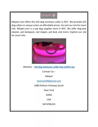 Led Dog Luminous Collar Buy Online Nyc Nikipet
