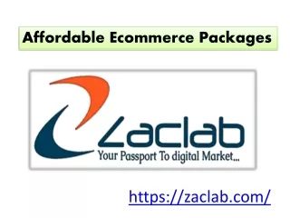 Affordable Ecommerce Packages