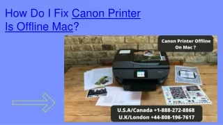 Easy Steps To Solve Printer Is Offline Mac Error