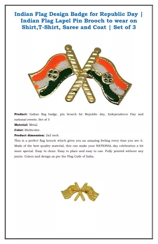 Indian Flag Brooch