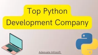 Top Python Development Company