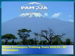 Mount Kilimanjaro Trekking Tours 202223  Mt Kilimanjaro-converted