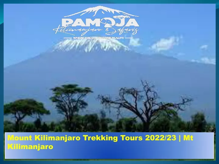 mount kilimanjaro trekking tours 2022