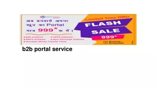 b2b portal service