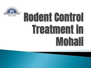 Rodent Control Treatment in Mohali