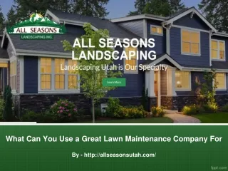 what can you use a great lawn maintenance company for