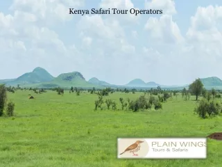 Kenya Safari Tour Operators