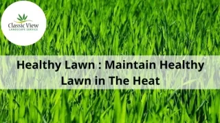 Healthy Lawn : Maintain healthy lawn in the heat