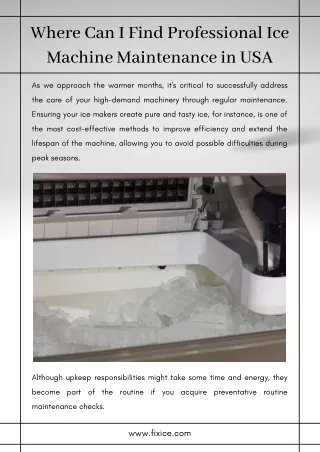 where can i find professional ice machine