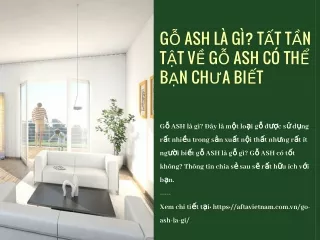 Gỗ ASH là gì? Tất tần tật về gỗ ASH có thể bạn chưa biết