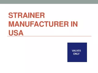 Strainer Manufacturer in USA