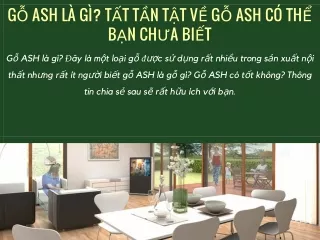 Gỗ ASH là gì? Tất tần tật về gỗ ASH có thể bạn chưa biết