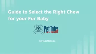 Guide to Select the Right Chew for your Fur Baby