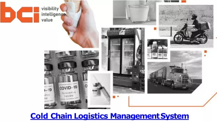 cold chain logistics management system