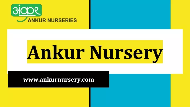 ankur nursery