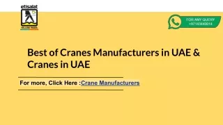 Best of Cranes Manufacturers in UAE & Cranes in UAE