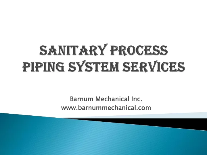 sanitary process piping system services