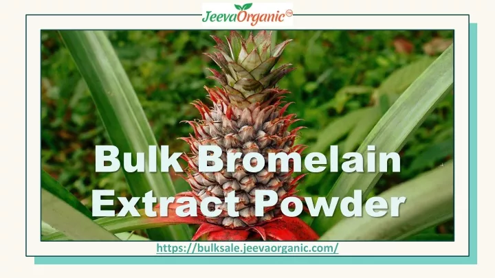 bulk bromelain extract powder