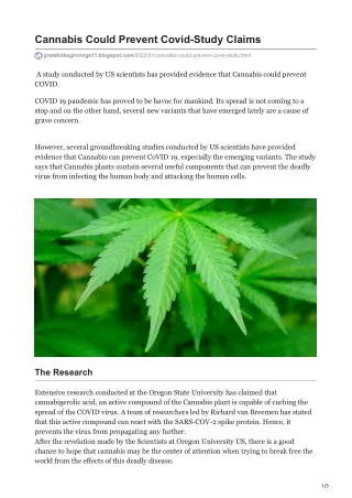 Cannabis Could Prevent Covid-Study Claims