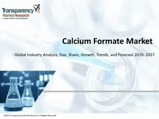 2019 transparency market research all rights