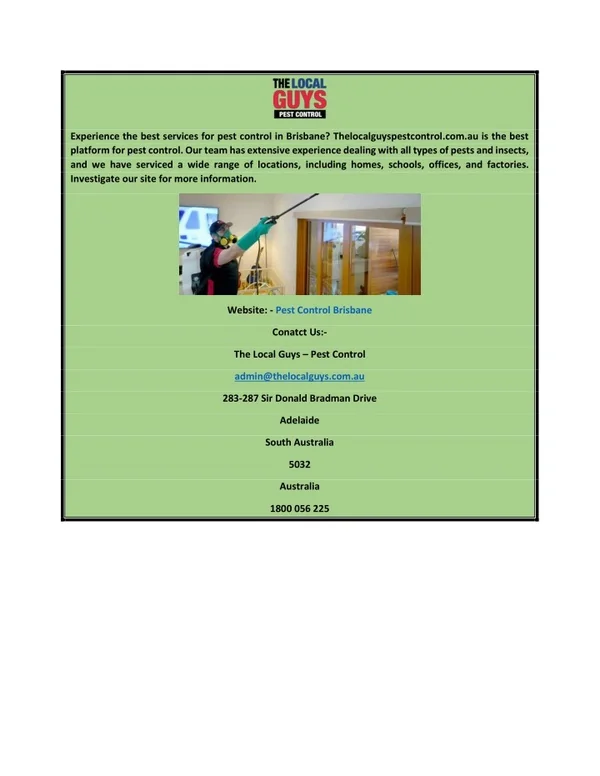 Pest Control Brisbane | Thelocalguyspestcontrol.com.au