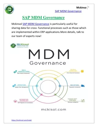SAP MDM Governance