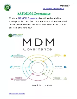 SAP MDM Governance