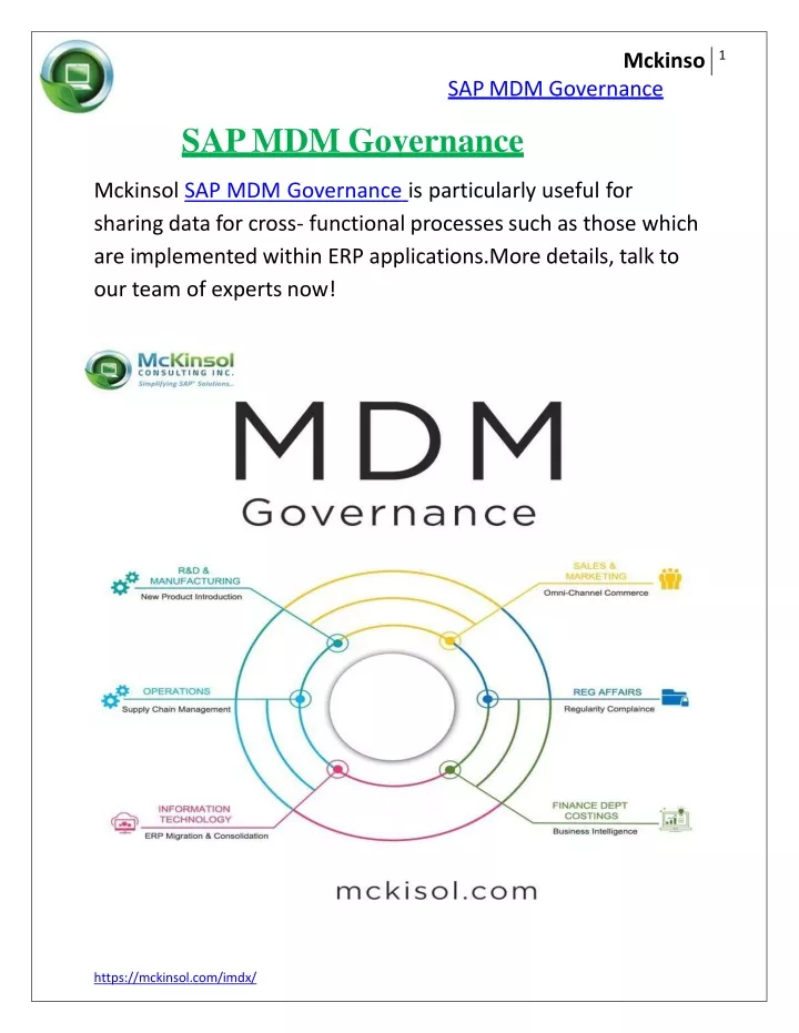 mckinso sap mdm governance sap mdm governance