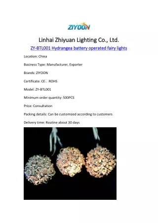 Linhai Zhiyuan Lighting Co., Ltd._LED flower Light