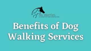 Benefits of Dog Walking Services