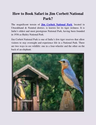 How to Book Safari in Jim Corbett National Park