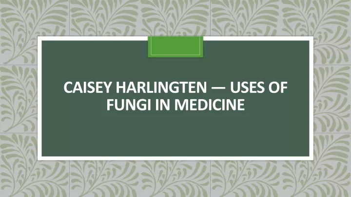 caisey harlingten uses of fungi in medicine