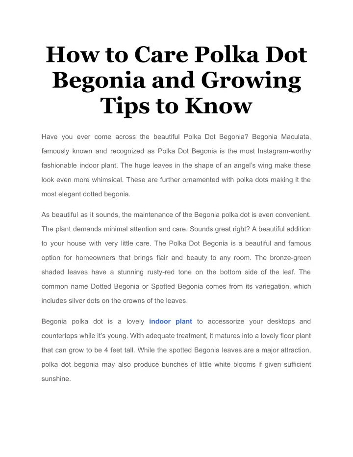 how to care polka dot begonia and growing tips
