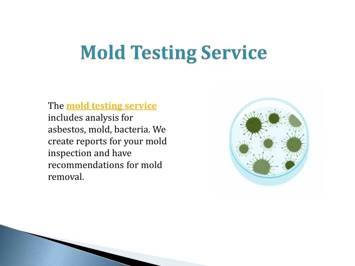 the mold testing service includes analysis