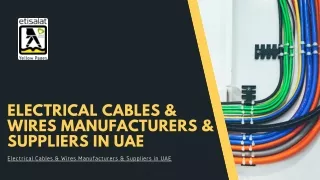 Electrical Cables & Wires Manufacturers & Suppliers in UAE