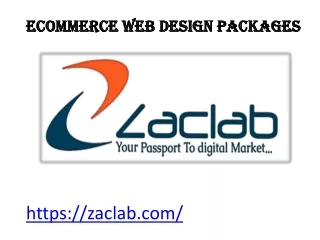 Ecommerce Web Design Packages